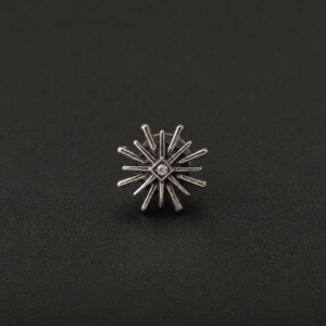 Stainless Steel Gear Ear Gauges